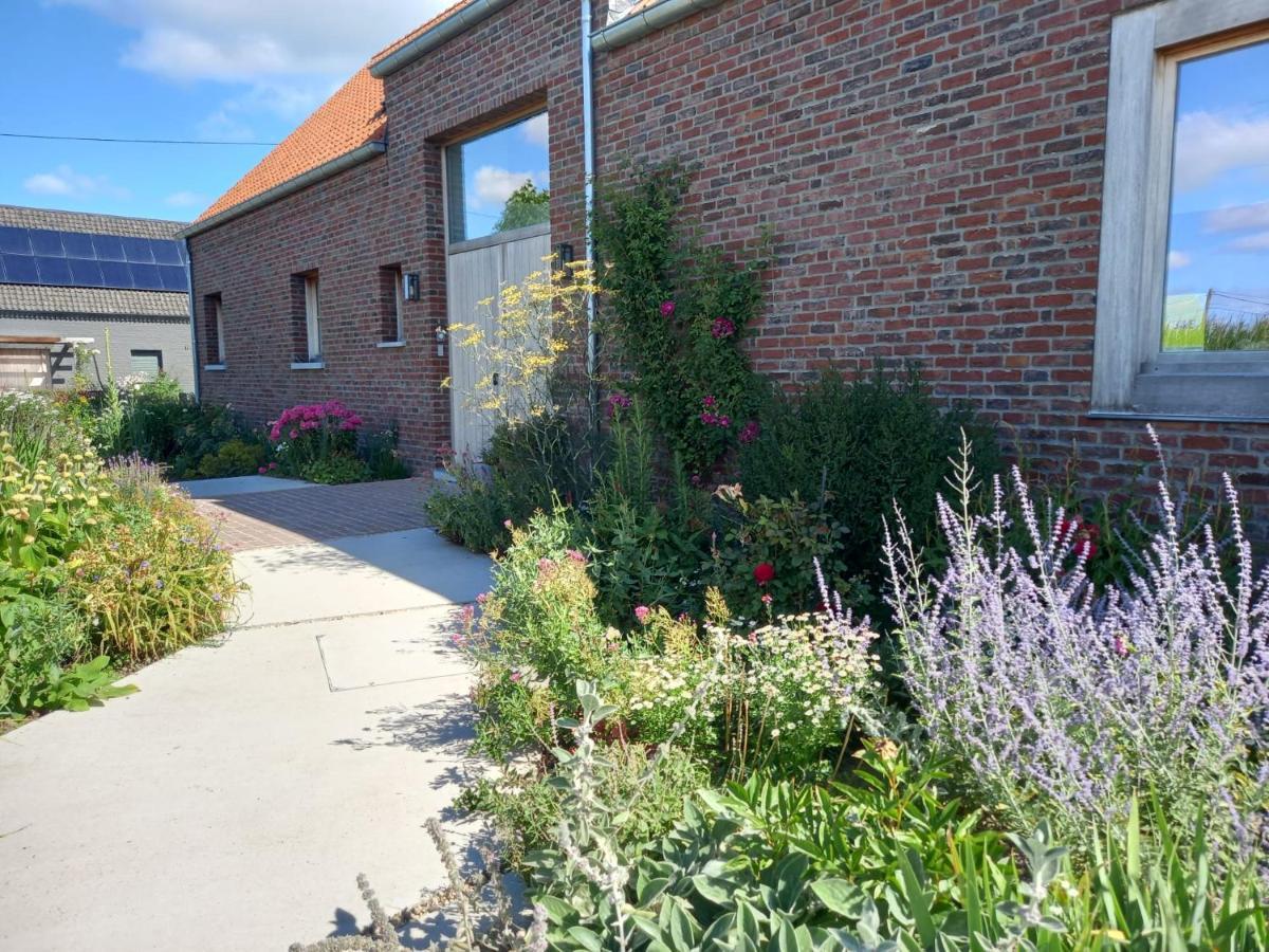Het Meikenshof Denterghem Exterior foto